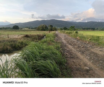 Lot For Sale In Malinao, Narra