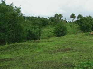 Lot For Sale In Alipit, Magdalena