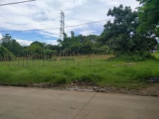 lot for sale: 93,000 sqm lot area with 400meters frontage, with clean title