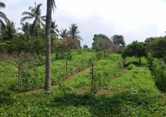 Agricultural land for lease