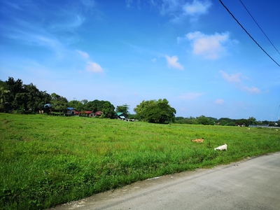 8,000 sqm Along Barangay Road Land For Sale in San Rafael, Bulacan