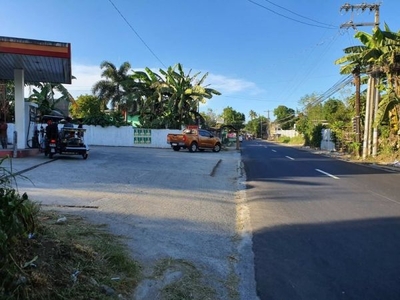 8,858 sqm Commercial Lot for Sale in San Jose City, Batangas