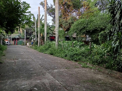 House for sale at Springdale Baliwag, Bulacan - Robinsons Homes