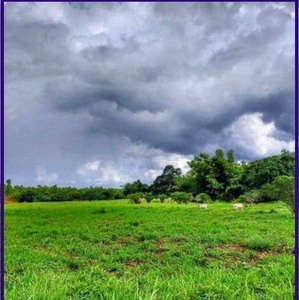 For Sale Agriculture farm resort in Ibaan, Batangas
