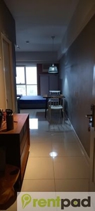 Comfy and Modern Fully Furnished Studio Unit in Senta for Lease