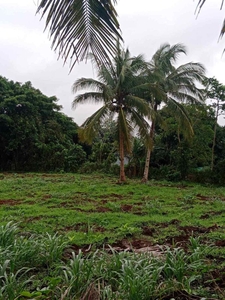 Farm Lot For Sale in Amadeo Cavite near Balite Falls. Installment Available