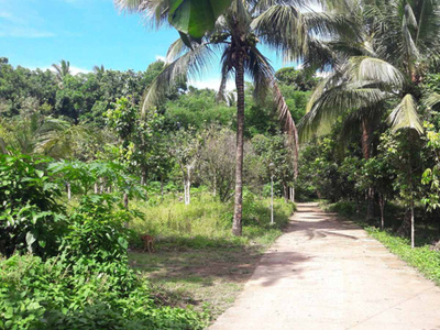 Lot For Sale In Dolores, San Pablo