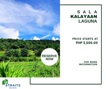 For Sale: Farm & Residential Lot Kalayaan, Laguna