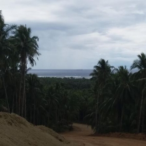 Siargao St. Monica Lot (cocoland)- Hill top with sea view