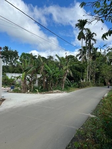 Titled Lot in Amadeo Cavite - 677 Sq.m.