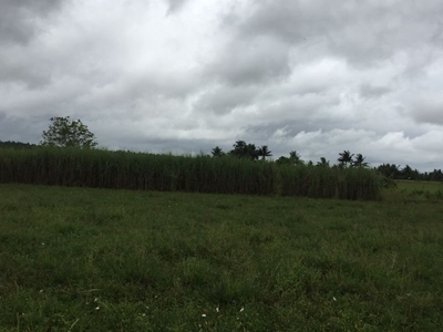 10 Hectares Agricultural Land for Sale