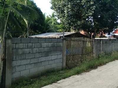 1.2 Hectares House and Lot