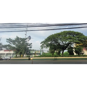 1.5 Hectare Commercial Vacant Lot For Sale in Dr. A Santos Avenue, Sucat
