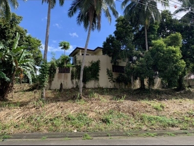 224 sqm. residential lot in Hacienda Sta. Monica Ayala Land