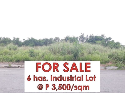 6 Has. Industrial Lot FOR SALE! @ P3,500/sqm Maguyam Silang