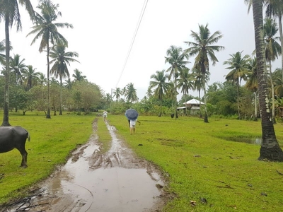 Agricultural Land In Lamak, Hilongos 5,961 sqm