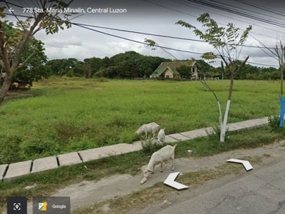 Commercial Lot for Lease - Sta. Maria, Minalin, Pampanga
