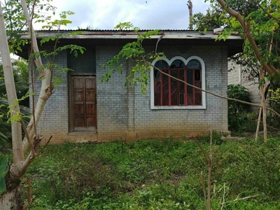 House & Lot For Sale (very near Diarabasin Elem. School)