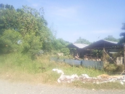 Land lot for sale along the road besid tadeco magsaysay 500 per sqrm