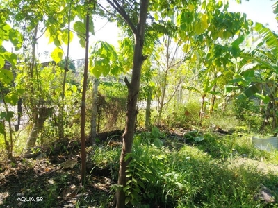 Lot for sale in Brgy. Baluy