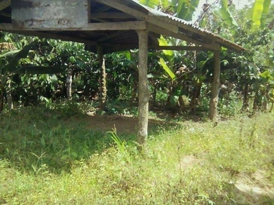 Residential Farm Lot for sale Amadeo cavite