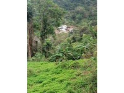 Residential lot for Sale in Babag 2 Busay