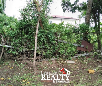 Residential Lot for Sale in Naga City 816 sqm