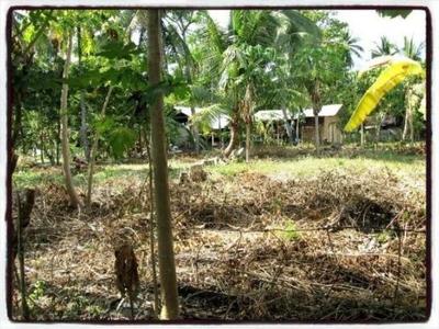 Residential Lot For Sale in Negros