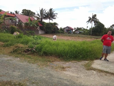 Selling House and Lot Verdant hills tagaytay