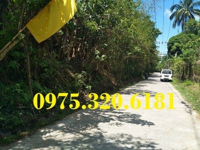 SUBDIVISION LOT FOR SALE in Mendez near Tagaytay Cavite