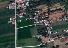 Residential Farm Lot (Asingan Pangasinan)