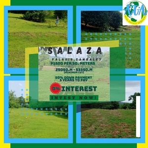 Residential Lot for Sale at Maculcul, San Narciso, Zambales