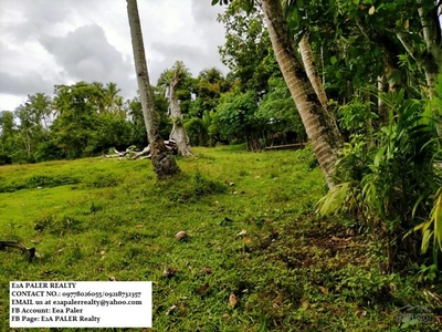 Agricultural Lot for sale in Daraga