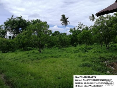 Agricultural Lot for sale in Goa