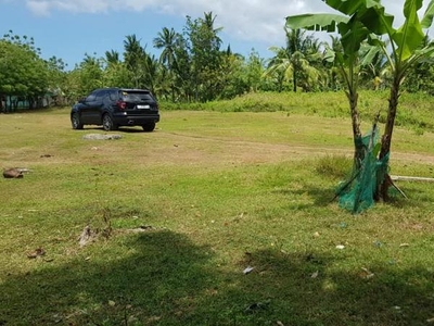 Residential Lot for sale in San Remigio