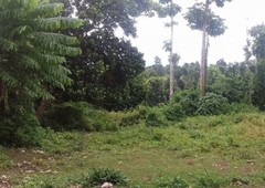 Land for sale in Tanauan, Batangas
