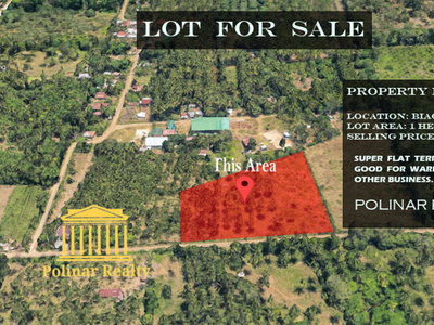 Lot For Sale In Biao Joaquin, Davao