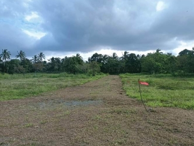Lot For Sale In Palumlum, Alfonso