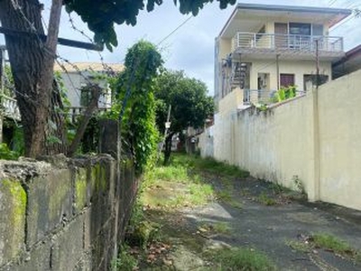 For Sale Single Family House And Lot Located In Alabang Hills, Muntinlupa