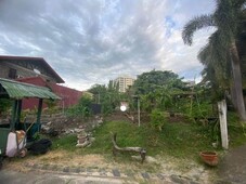 Lot For Sale in Alabang 400