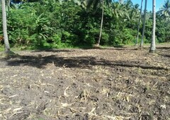 Ready To Transfer Land For Sale