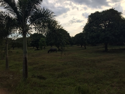 3 hectares Farm lot in Rosario Batangas