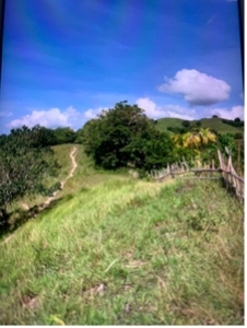 360 overlooking Lot For Sale in Simang, Valencia, Bohol