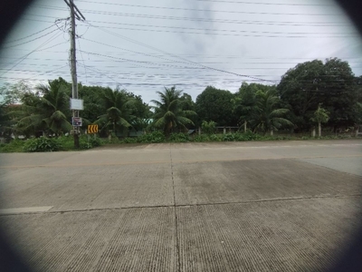 5,863sqm Commercial lot for sale in Tawala Panglao