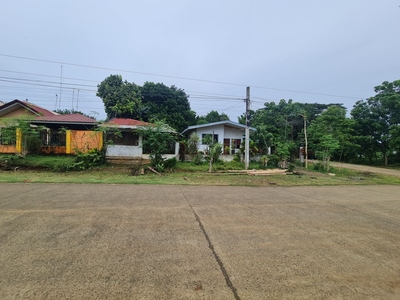 758sqm Cornered-Commercial Lot with one-storey building near Sayre Highway