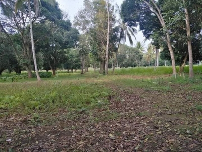For sale Residential Lot Gated Subdivision in Libona Bukidnon