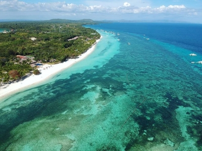 Lot near the beach for Sale, Panglao, Direct Owner (1000sqm Clean Title)