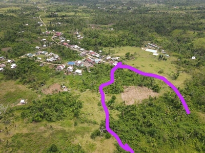 Rush! Titled 4.5 hectares Farm Lot for 2M!