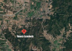 Agricultural Lot (4 Hectares) for Lease, Sta. Lucia, Ilocos Su