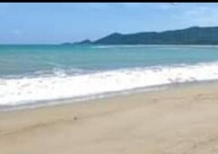 Casapsapan Beach Front 3.5 Hectare 23M Net for sale! 2 to 3 hours from Baler